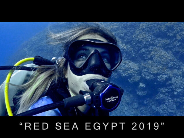 RED SEA EGYPT 2019